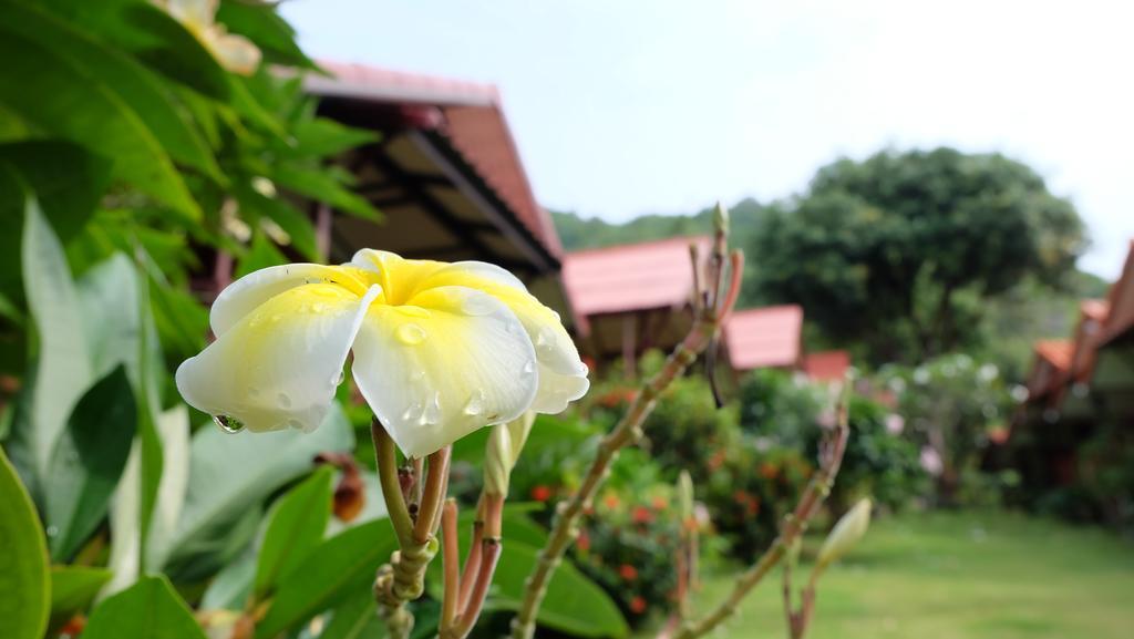Pooltrap Village Bungalow パンガン島 エクステリア 写真